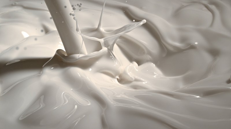 A101 Birşah Süt