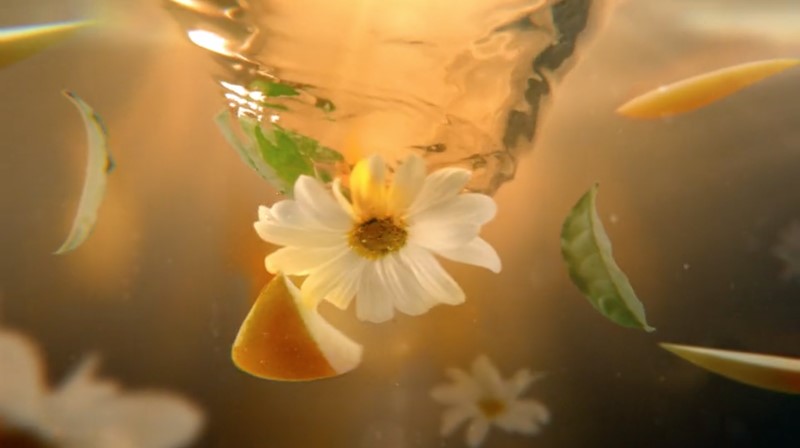 Fusetea 2